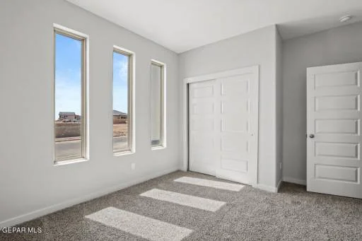 11126 Blue Eyed Grass Street 3