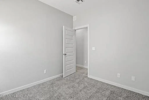 11126 Blue Eyed Grass Street 27