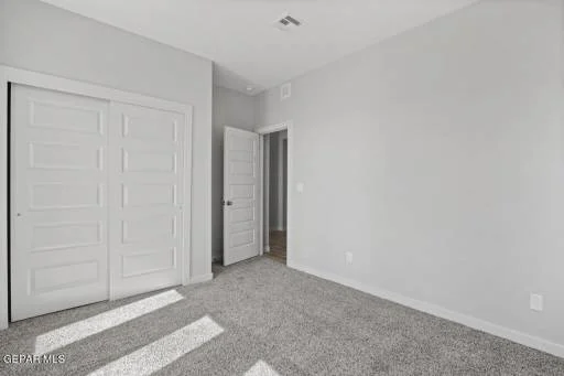 11126 Blue Eyed Grass Street 4