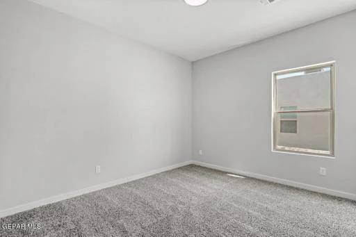 11126 Blue Eyed Grass Street 7
