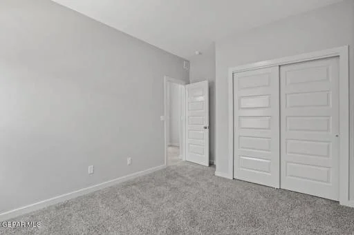 11126 Blue Eyed Grass Street 8