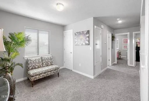 11130 Ground Cherry Street 17