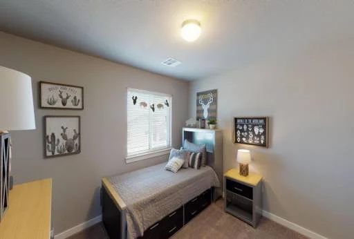 11178 Blazing Star Place 10