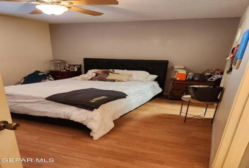 11761 MESQUITE MIEL Drive 5