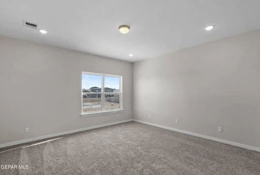 12148 Sanaa Drive 29