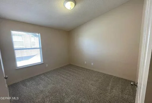 12156 Sun Arbor Place 22