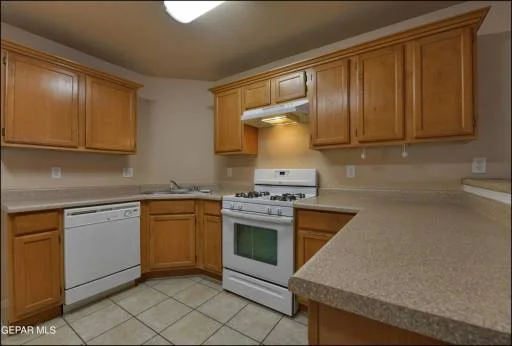 11953 MESQUITE BUSH Drive 11