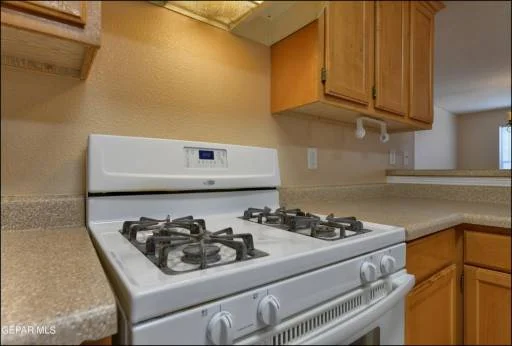 11953 MESQUITE BUSH Drive 14