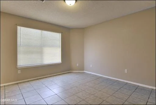 11953 MESQUITE BUSH Drive 17