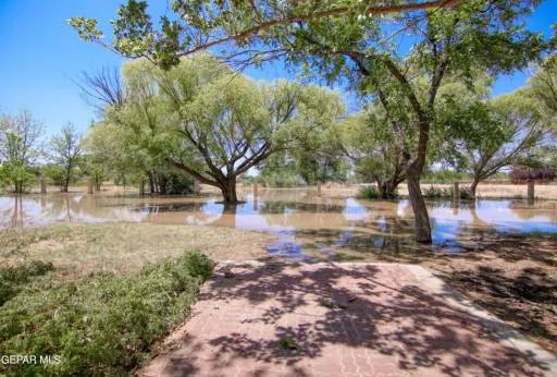 12309 SUGDEN Road 113