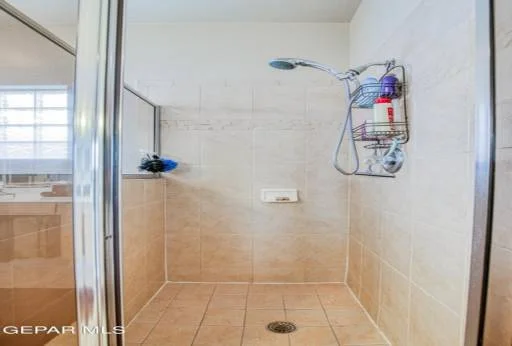 12329 TIERRA ARROYO Drive 39