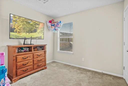 12001 Copper Head Lane 26