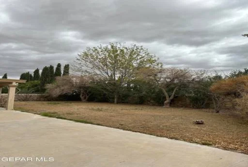 12450 PASEO ROJO Drive 49