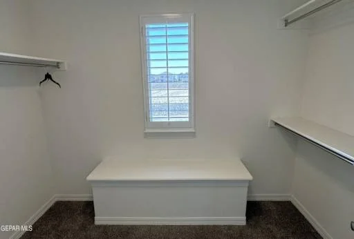 12609 GLOBE MALLOW DRIVE 62