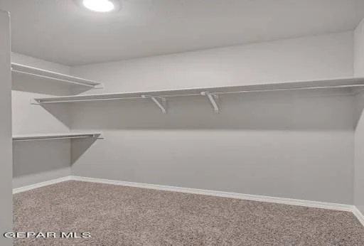 12121 Nesreen Drive 33