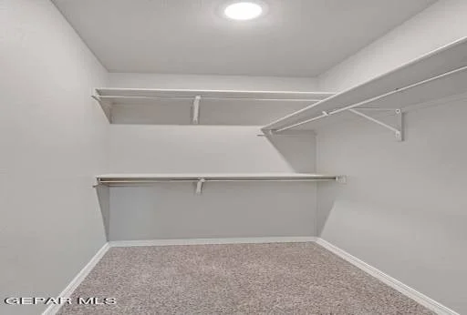 12121 Nesreen Drive 34
