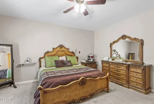 12721 Cozy Prairie Court 20
