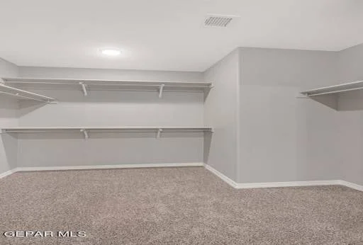 12144 Sanaa Drive 47
