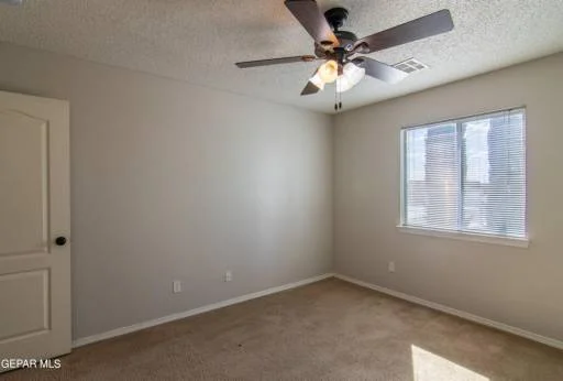 14295 Desert Bush Drive 17