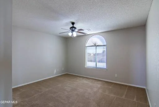 14295 Desert Bush Drive 28