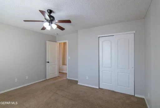 14295 Desert Bush Drive 29