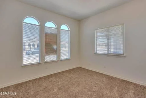 14345 Tobe Davis Drive Drive 20
