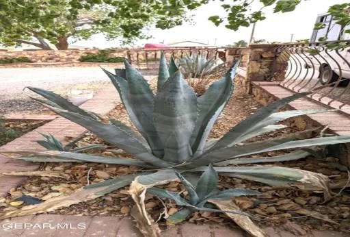 13141 CARMEN GINGER Road 31