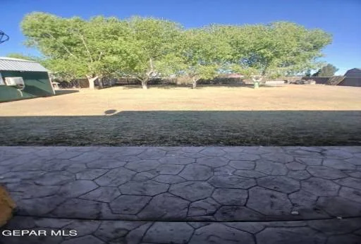 13141 CARMEN GINGER Road 49