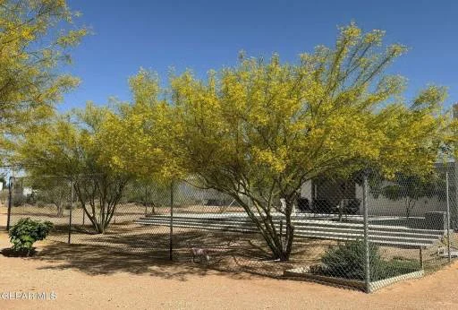 14767 Calhoun Drive 3