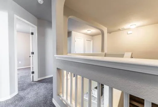 14837 Sunny Land Avenue 33
