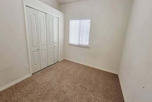1520 PRICKLEY PEAR Drive 1