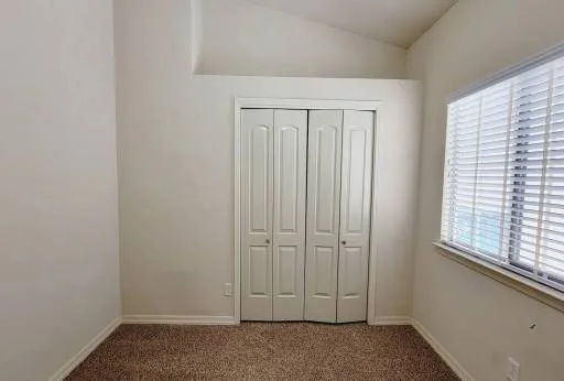 1520 PRICKLEY PEAR Drive 12