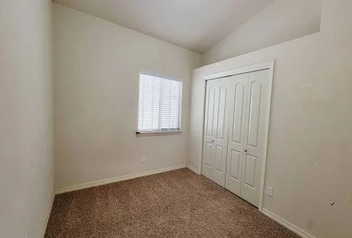 1520 PRICKLEY PEAR Drive 15