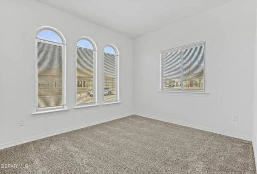 248 Dora Baltea Place 19