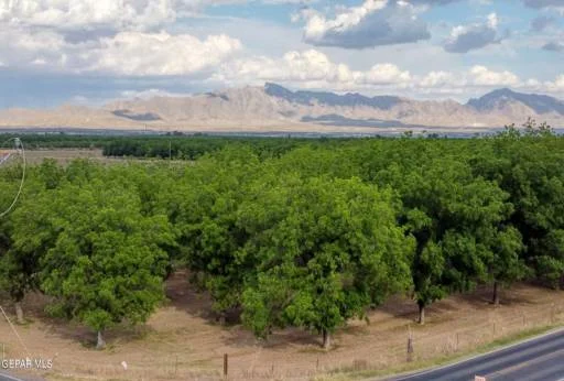 30253035 W OHara Road 20