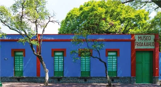 Image  10