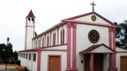 Image  2