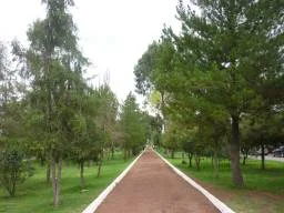 Image  0