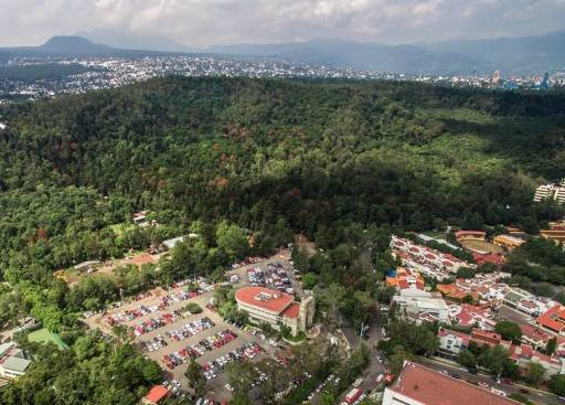Tlalpan