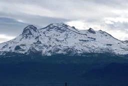 Image  3