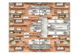 Septo 4003