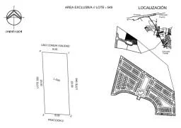 Weech Lote 1874
