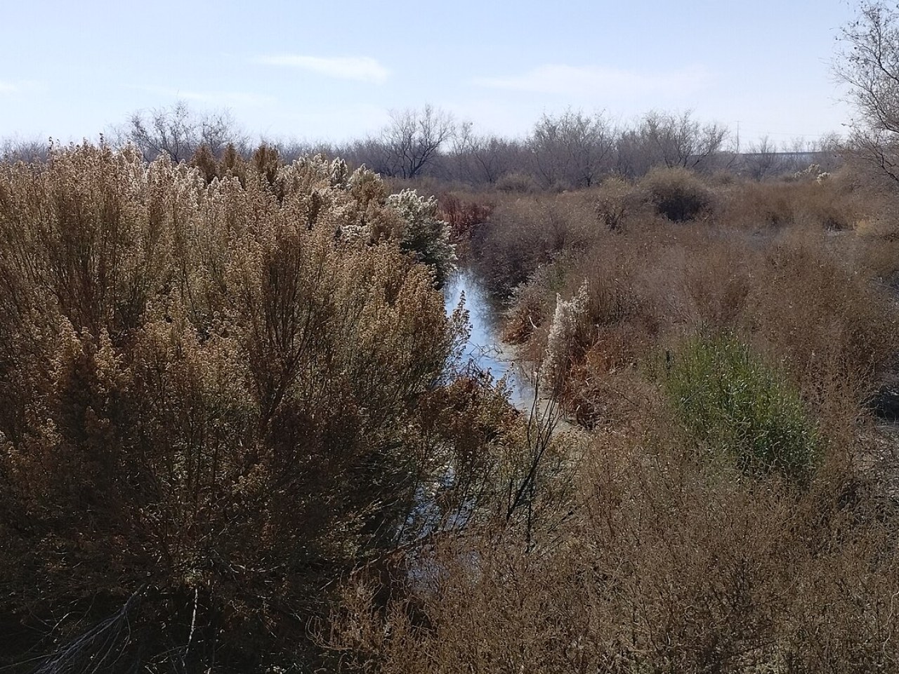 Desert Sage Estates