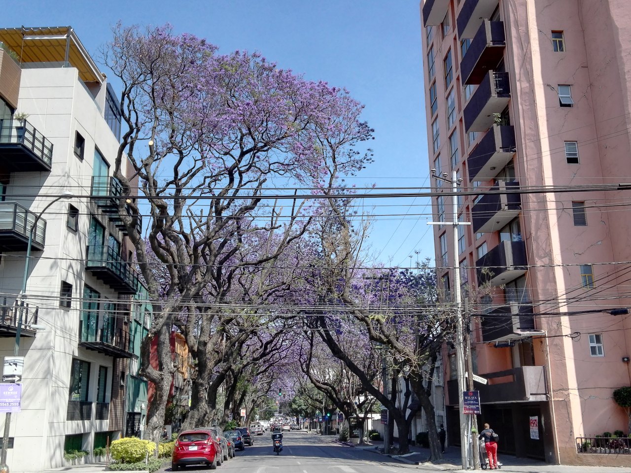 Narvarte Poniente