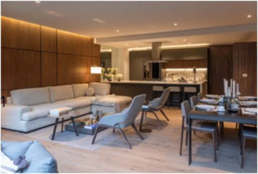 Pedregal II Depto 1111 1
